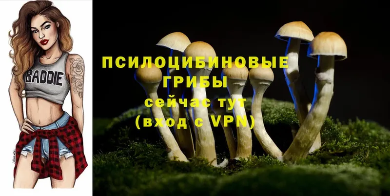 Псилоцибиновые грибы GOLDEN TEACHER  omg tor  Заречный 